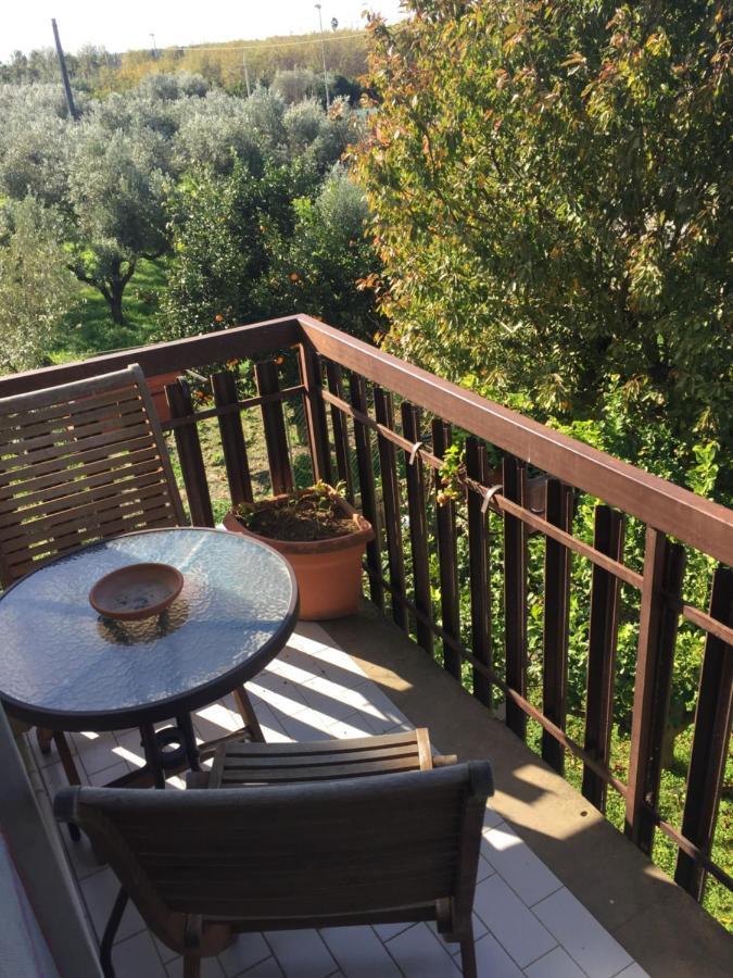 B&B Villa Dei Fiori Sant'Eufemia Lamezia Ngoại thất bức ảnh